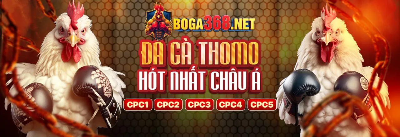 Hình ảnh bảo mật cá cược trực tuyến của vip88888